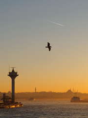  Bosphorus view at sunset, seascape with lighthouse, seagull and airplane trail