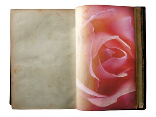 Wall Mural - Rose printed on the pages of an open old book