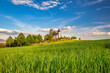 Field with tall green grass in rural landscape. Church in Abramova village in the background, Turiec Region, Slovakia, Europe.