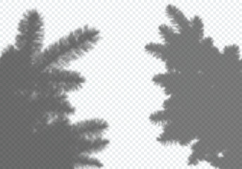 Aufkleber - Vector Shadow of Christmas Tree. Design Element for Collage and Mock Up. Decorative Overlay Effect for Mockups, Posters and New Year Greeting Cards
