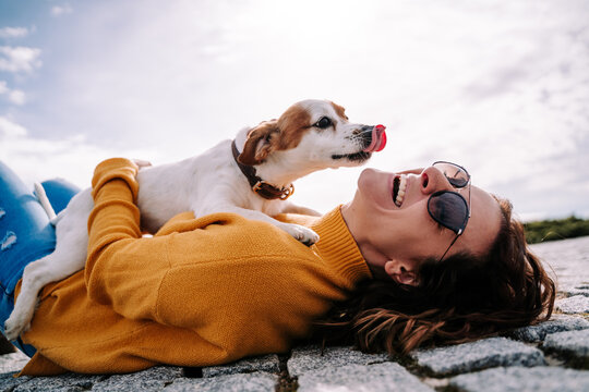 a beautiful woman laughing while her pet is licking her face in a sunny day in the park in madrid. t