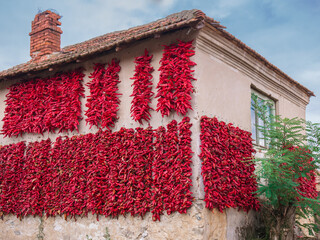 A lot of red peppers hanging on the wall of house and drying on traditional way. Traditional drying paprika for spice and powder. 