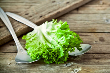 lettuce salad leaf and two spoons 