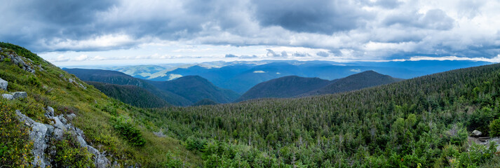 Wall Mural - Panoramic view from the summit of the Mont-Albert in the Gaspesia national park, Canada