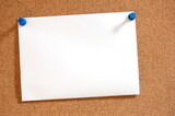 Fototapeta Morze - blank sheet of paper on bulletin board