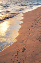 Wall Mural - Tropical beach with footprints 