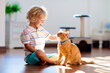 © famveldman - Child playing with cat at home. Kids and pets.