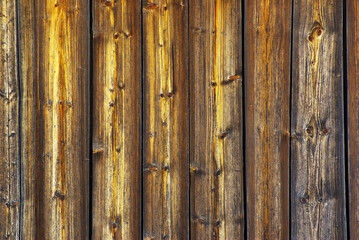 Sticker -  wood background 