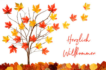 Wall Mural - branches building tree with bright colorful leaf decoration. red and yellow leaves flying away due t