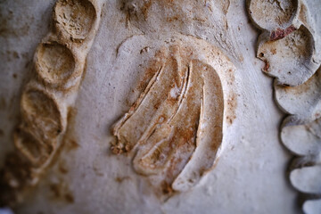 Remarkable floral bas-relief on an ancient Roman vase