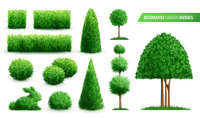 Decorative Garden Bushes Icon Set