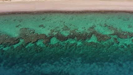 Wall Mural - Red Sea Coral reef and coast, Aerial view.