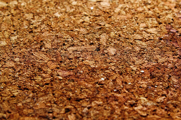 Wall Mural - Cork texture