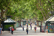 © David Soanes - Las Ramblas in Barcelona, Spain