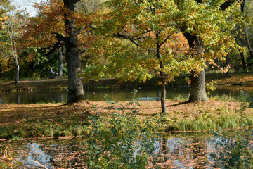 autumn in the park