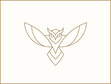 Modern Minimal Owl Illustration. Linear Owl Logo.
