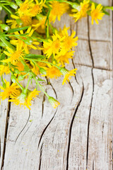 Canvas Print - wild yellow flowers