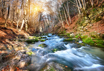 Canvas Print - Mountain river