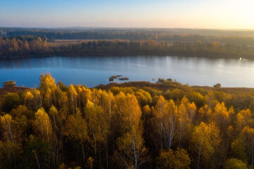 Wall Mural - Fall morning. Aerial view lake surrounded forest. Yellow foliage on trees and ground. Light mist. 