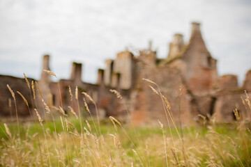 Ancient Ruins of Scottish Fortress, Caerlaverock, Behind the Dry Grass