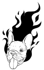 Wall Mural - Pug head carlino dog face - vector illustration