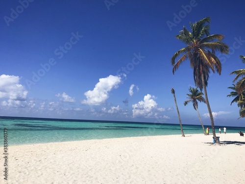 Cuadros en Lienzo beachside with sunny coconut trees