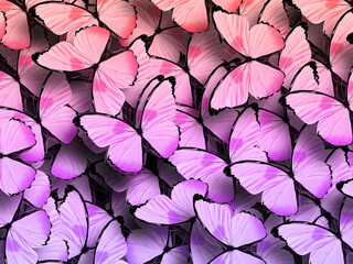 Wall Mural - beautiful background of tropical butterflies