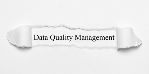 Poster - Data Quality Management 