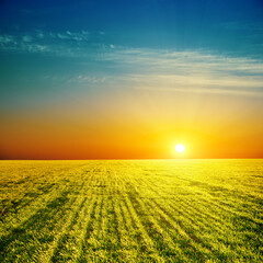 Poster - good sunset over green field