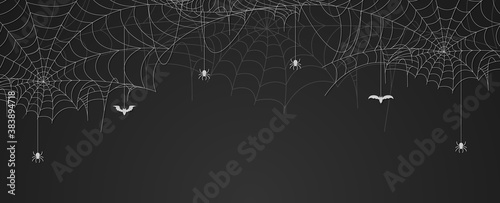 Fotomural Spider web banner with spiders and bats hanging, cobweb background, copy space