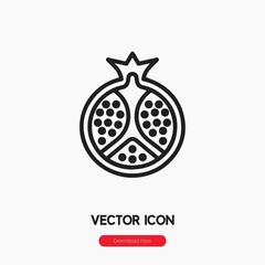 Poster - pomegranate icon vector sign symbol