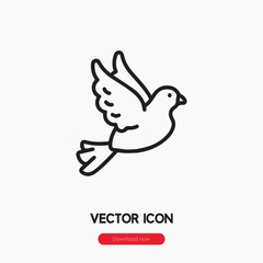 Poster - dove icon vector sign symbol