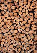 Close Focus On Cut Log Woods From Softwood Trees Ready To Use As Fuel Firewood
