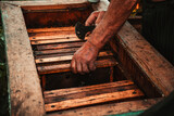 Fototapeta  - a man works in an apiary with tools near the beehive with honey and bees 4