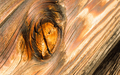 Wall Mural - Lumber Gnarled Knotty Wood Lumber Plank Macro Burnt Nail