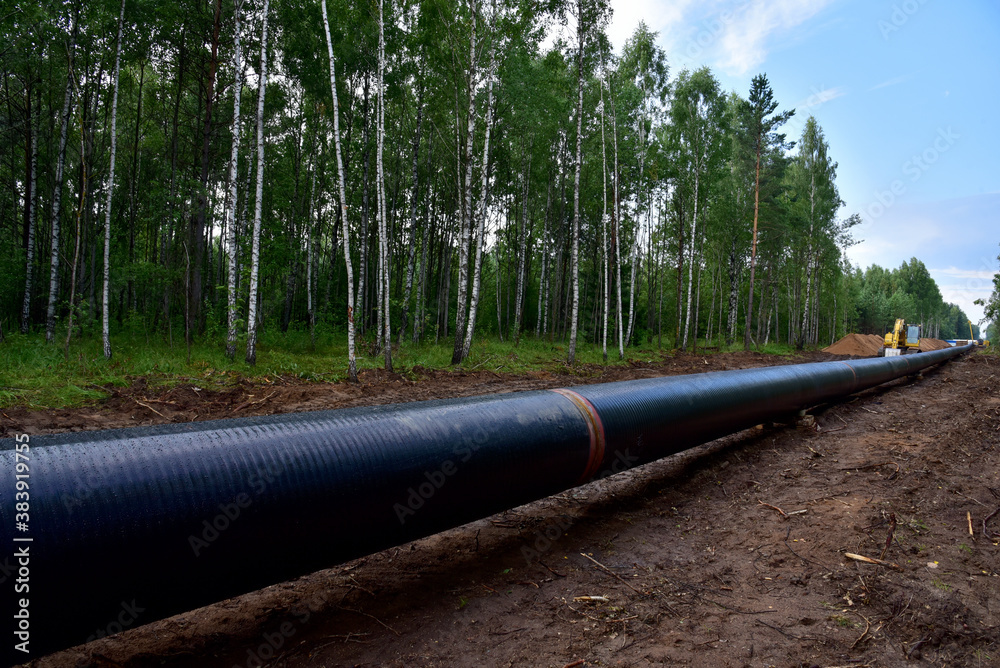 Crude oil and Natural gas pipeline construction work in forest area ...