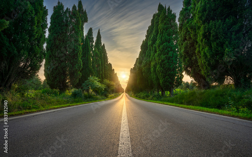 Fotografía Bolgheri famous cypresses tree straight boulevard