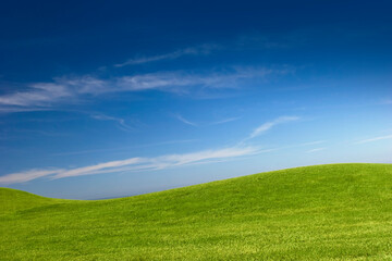 Canvas Print - Green Meadow