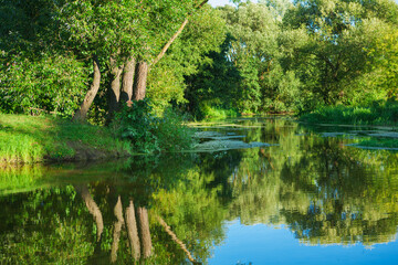 Canvas Print - on river in forest