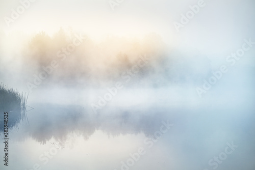 Fotografía Picturesque scenery of the forest lake in a thick white fog