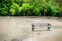 Flood In Park