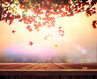 © Choat - Wood table with colorful maple branches border on early morning nature background
