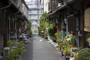 Canvas Print - 長屋の路地