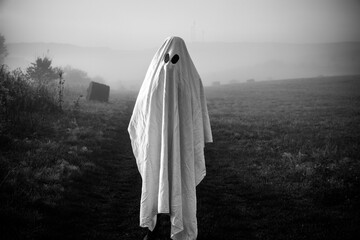 Wall Mural - halloween ghost in foggy landscape