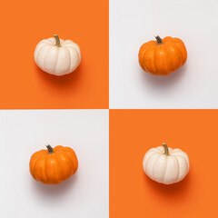 creative halloween flat lay two pumpkin. square checkerboard white and orange on colored background 