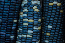 Close Up Of Blue Corn