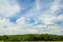Cloudscape: Blue Sky With Cirrus And Cumulus Clouds Above Green Trees.
