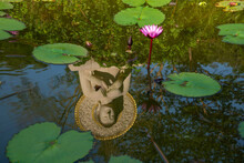 Buddha Statue Reflection In A Lotus Pond