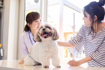 Canvas Print - 獣医さんと飼い主
