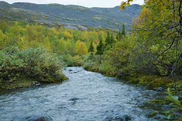 Canvas Print - The mountain river